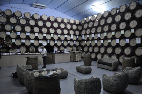 Barrique-Weinkeller in der Rioja
