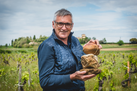 Die rollenden Steine von Châteauneuf-du-Pape