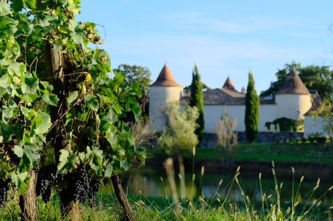 Bienvenue à Bordeaux!