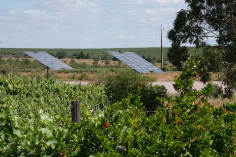Solarpanele bei Vale de Camelos