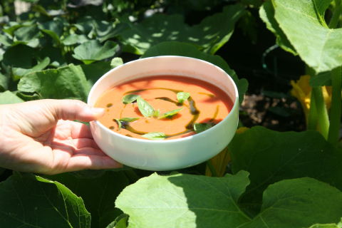 Gazpacho Sommermenü 2026