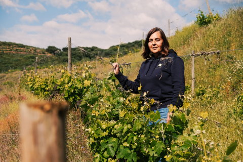 Carla Ferreira im Weingarten