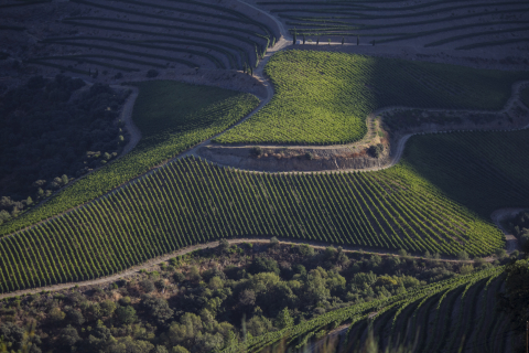 Douro Superior