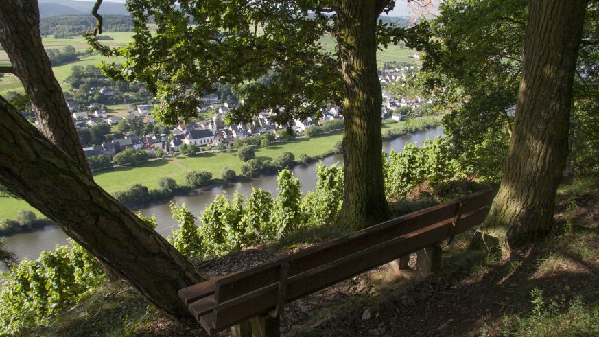 Ausblick an der Mosel