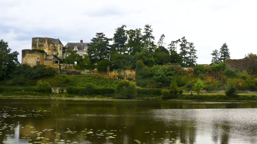 Weinbau an der Loire