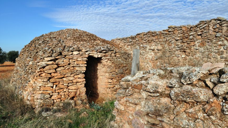 Weinberghaus in La Mancha