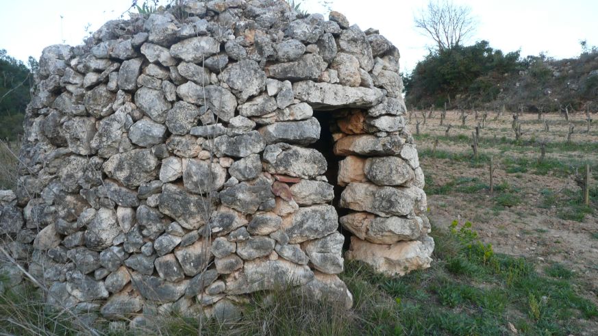 Weinbau in Katalonien