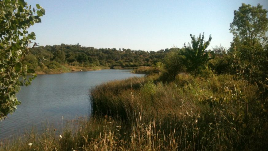 Ein Musterbeispiel für Permakultur: das Projekt Tamera im heissen Alentejo