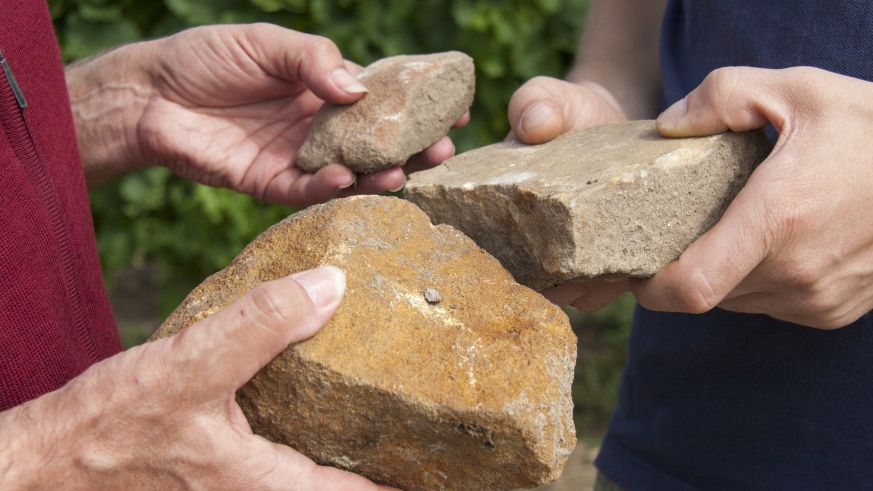 Buntsandstein auf dem Weingut Pflüger