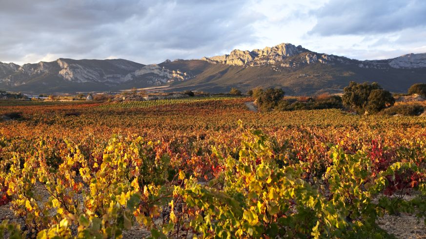 Herbststimmung in der Rioja
