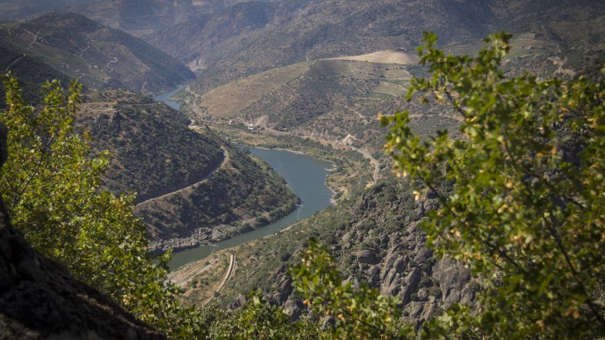 Douro