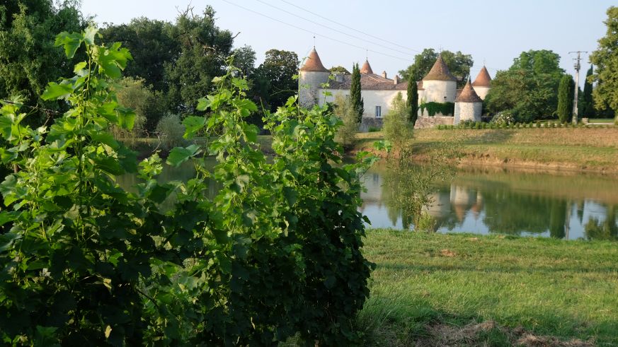 Château Couronneu im Bordeaux