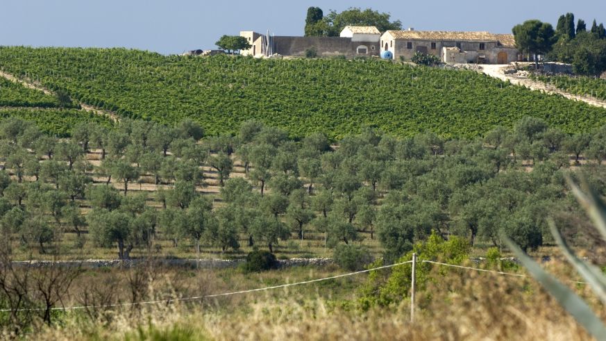 sizilien-etna.jpg