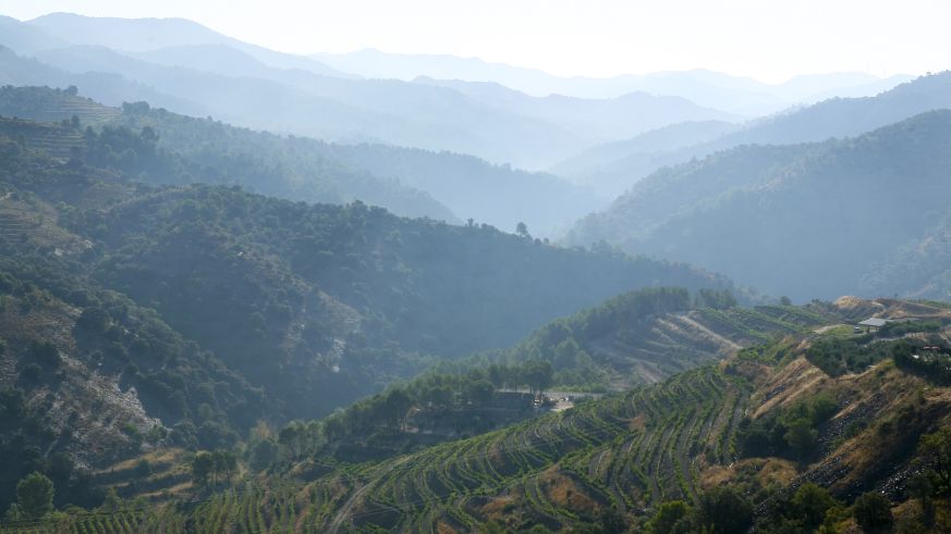 Weinbau im Priorat