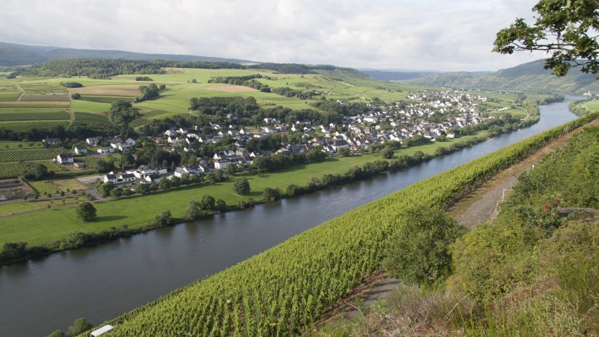 Weine aus Deutschland