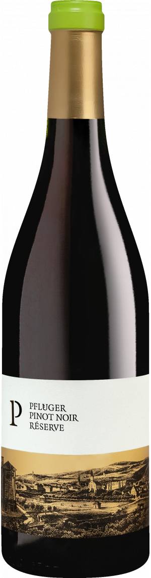 Weingut Pflüger Pinot Noir Réserve Qualitätswein Pfalz 2020, Bio Rotwein, Biowein