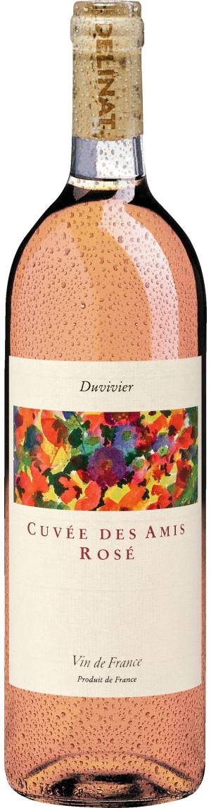 Duvivier Cuvée des Amis rosé Vin de France 2022, Bio Rosé, Biowein