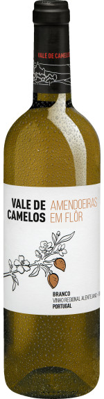 Vale de Camelos Amendoeiras em Flôr