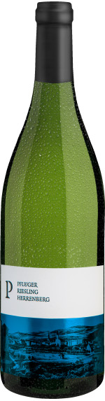 Pflüger Riesling Ungsteiner Herrenberg