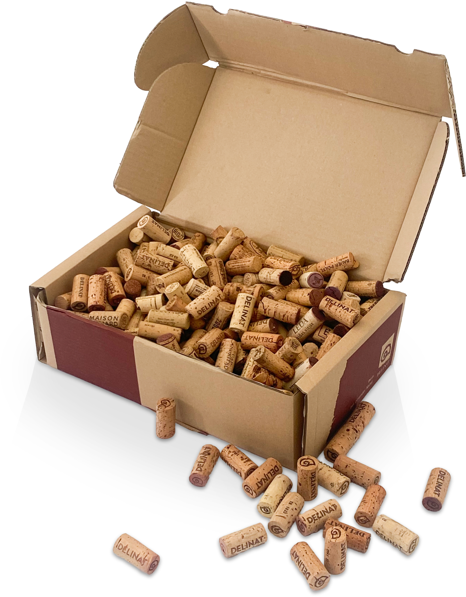 aufbewahrungsboxen Bundle: 3x 8% Rabatt HAGO24 Getränkekistenregal 3 Kisten main image 0