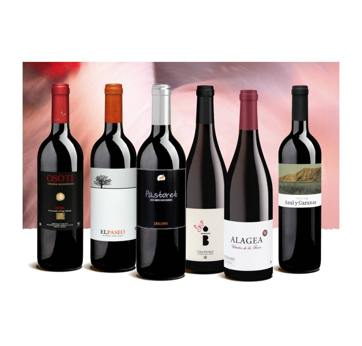 Probierpaket «Rotwein aus Spanien»
 Viva España – 6 Rotweine aus den schönsten Weinregionen, Bio Probierpakete