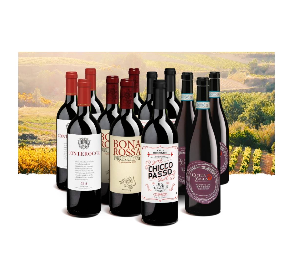 Probierpaket «Sommerliches Italien» Unserer Kundenlieblinge: 12 Flaschen Rotwein, Bio Probierpakete