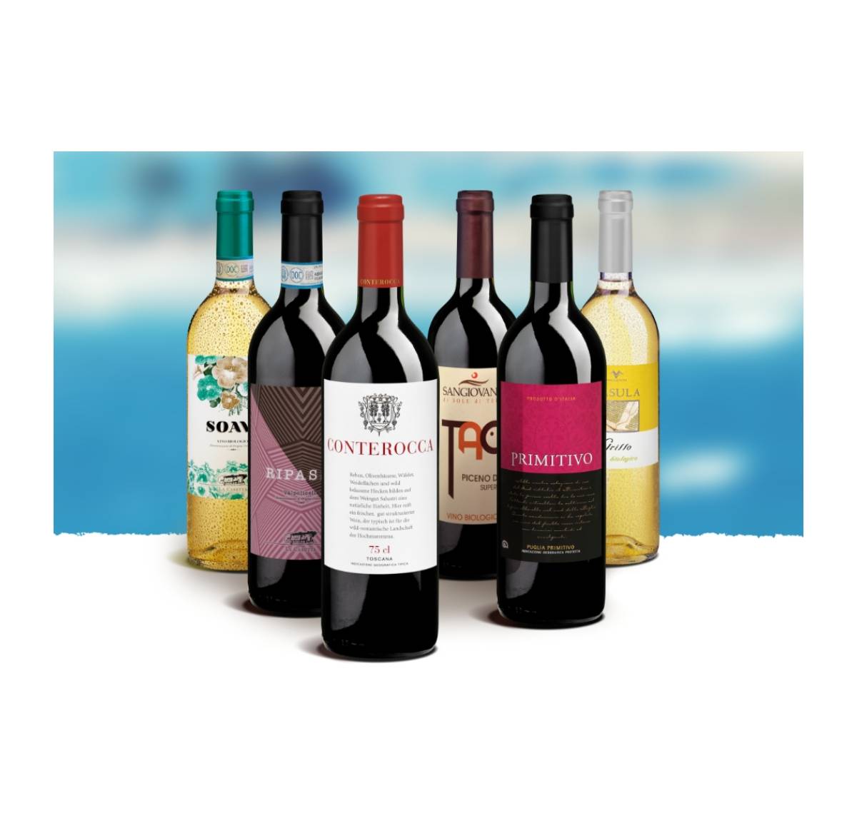 Probierpaket «Sapori d'Italia» 6 x 1 Fl. = 6 Fl. Wein aus Italien, Bio Probierpakete
