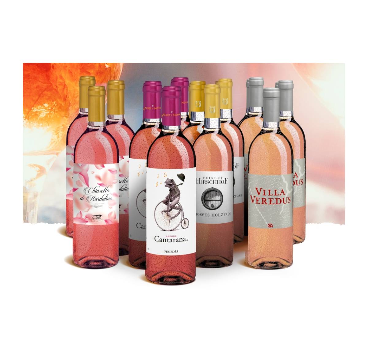 Probierpaket «Fruchtige Roséweine» 2022 Unserer Kundenlieblinge: 12 Flaschen Roséwein, Bio Probierpakete