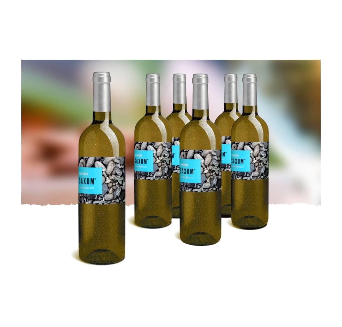 Saxum Sauvignon Blanc 2022 im 5+1-Paket Unser Spargelwein 2024 – eine Flasche geschenkt, Bio Probierpakete