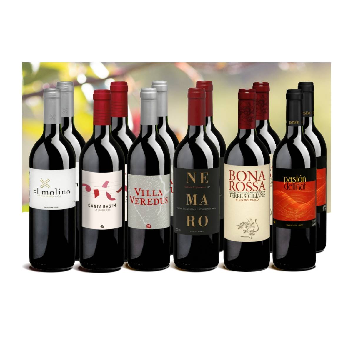 Probierpaket «Preiswerte Rotweine»  Die beliebtesten Delinat-Rotweine zum kleinen Preis, Bio Probierpakete