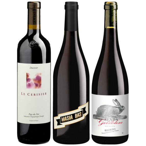 Rotwein Frühjahr 2025 Nord Solopaket
