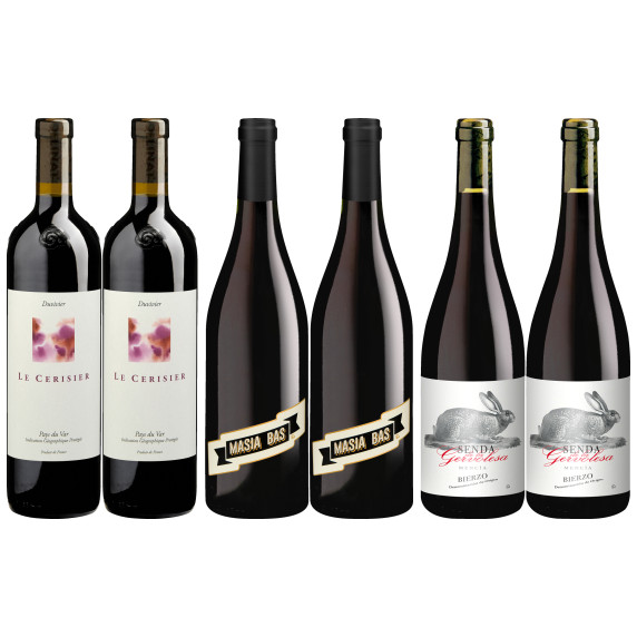 Rotwein Frühjahr 2025 Nord Duopaket