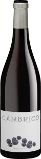 Tempranillo