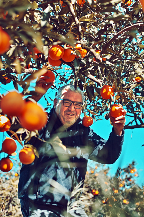 Massimo Maggios maximale Mischkultur