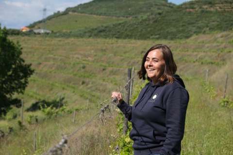 Steillagen im Douro-Tal