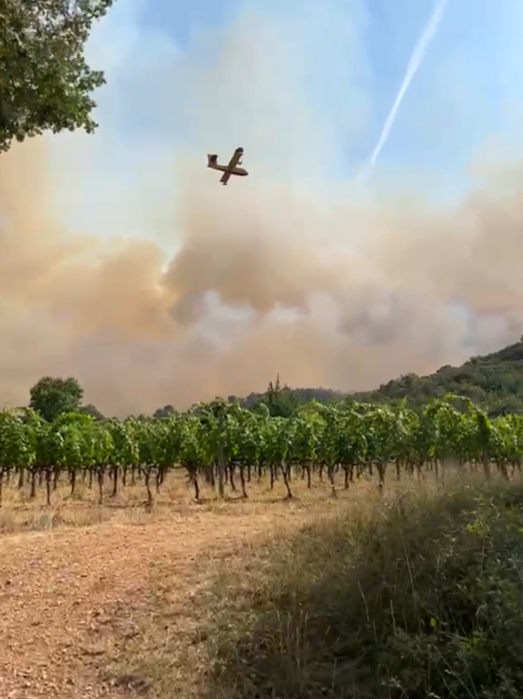 Waldbrand bei Château Duvivier: Aktuelle Lage