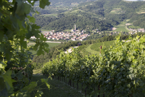 Wein und Velo im Veneto