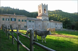 badia-a-coltibuono-4.jpg