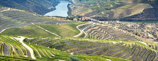 douro-portugal.jpg