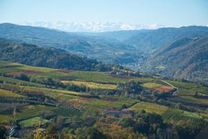 Wein- und Genussreise Piemont