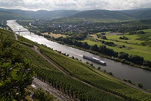 Themendegustation: Leichte Sommerweine aus der Schweiz, Deutschland und Österreich