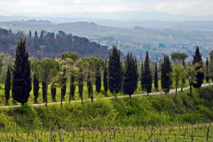 Wein- und Genussreise Toskana