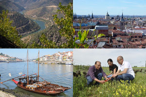 Wein- und Genussreise von Porto nach Madrid