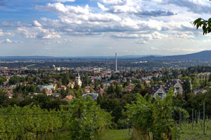 Wien und Wein – Österreich für Individualisten