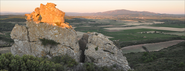 languedoc_corbieres.jpg