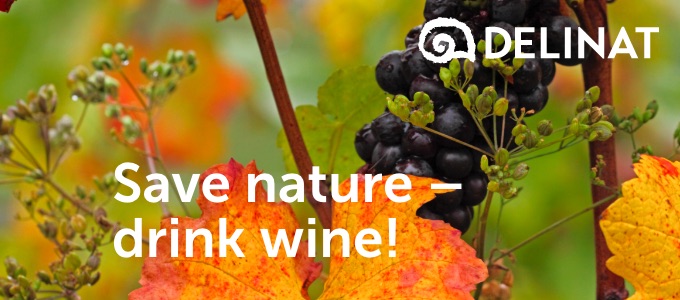 Save nature - drink wine