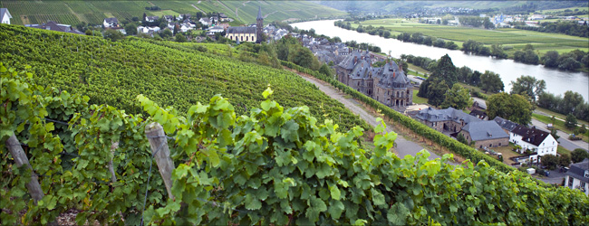 roemerkelter-weinberge.jpg