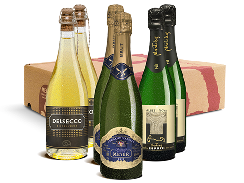 Geschenk-DegustierService Schaumwein (je 3 x 2 = 6 Fl)
