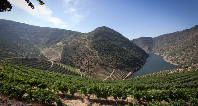 weinreisen/weinreise-madrid-douro.jpg