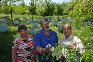 Imker und Bienenhonig in Bulgarien